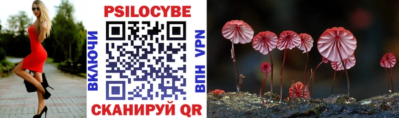 KRAKEN маркетплейс  Ряжск  Галлюциногенные грибы Psilocybe 